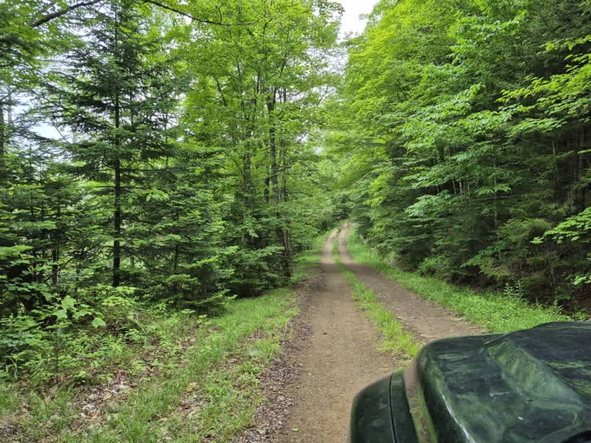 Fly Creek Road photo 4
