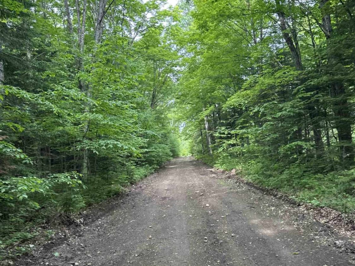 FS 3527 photo 2