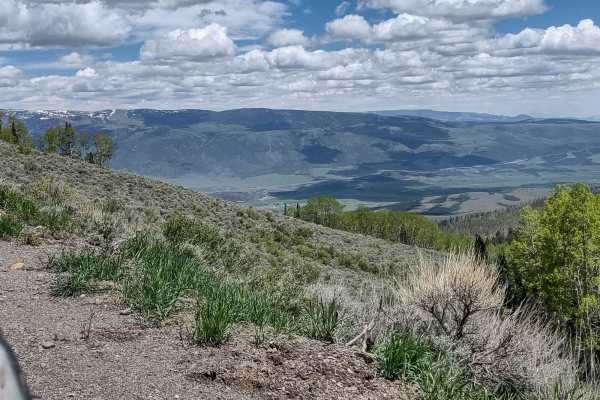 Cove Mountain Road (FS# 40068)