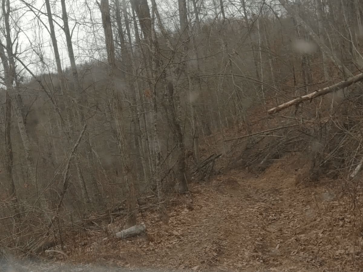 Big Branch Hill photo 3