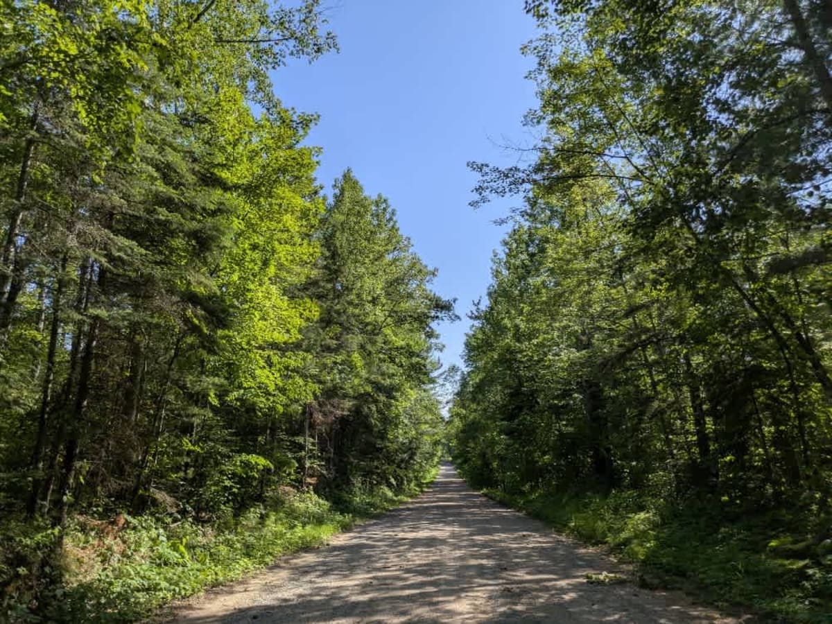 2131 trail photo