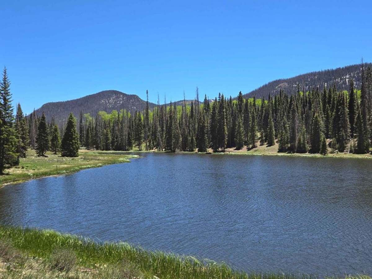 Swale Lake Loop photo 2