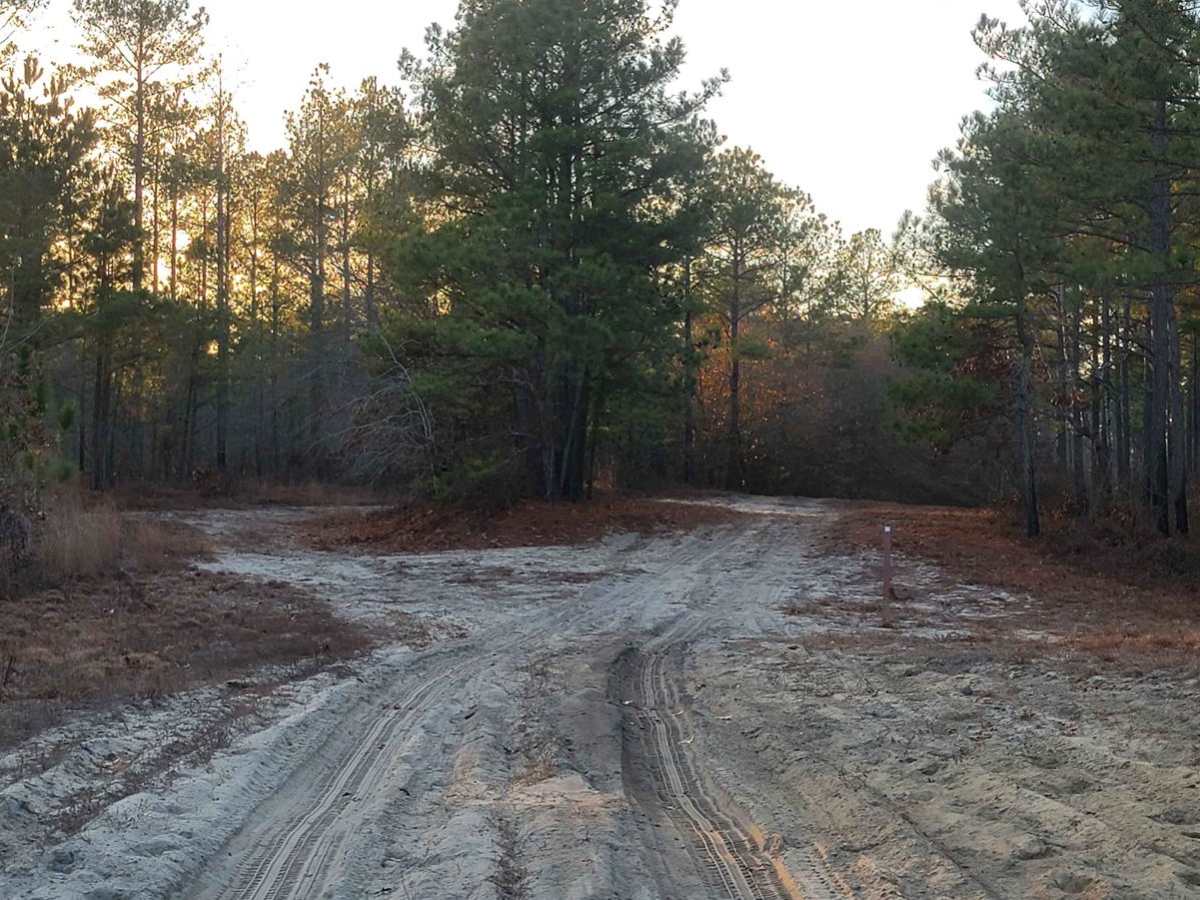 Chowan Game Lands - Bear Spotter photo 5