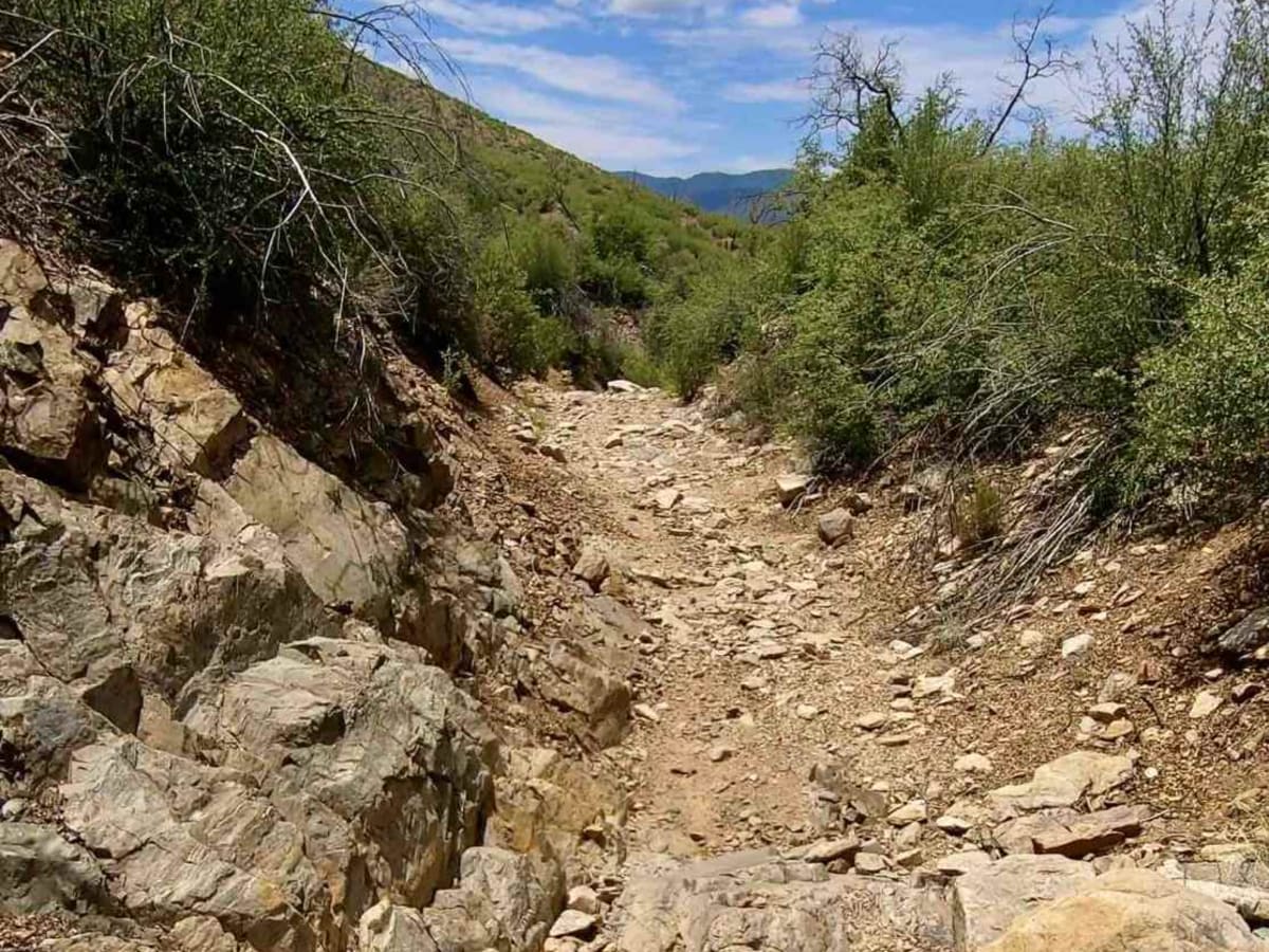 Arrastra Creek photo 6