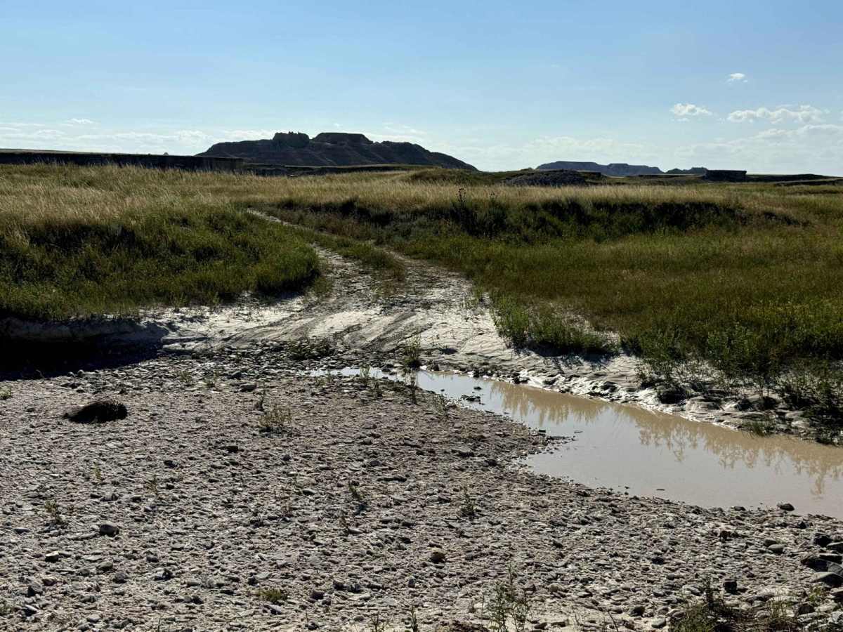 Buffalo Gap Natl Grassland South photo 4