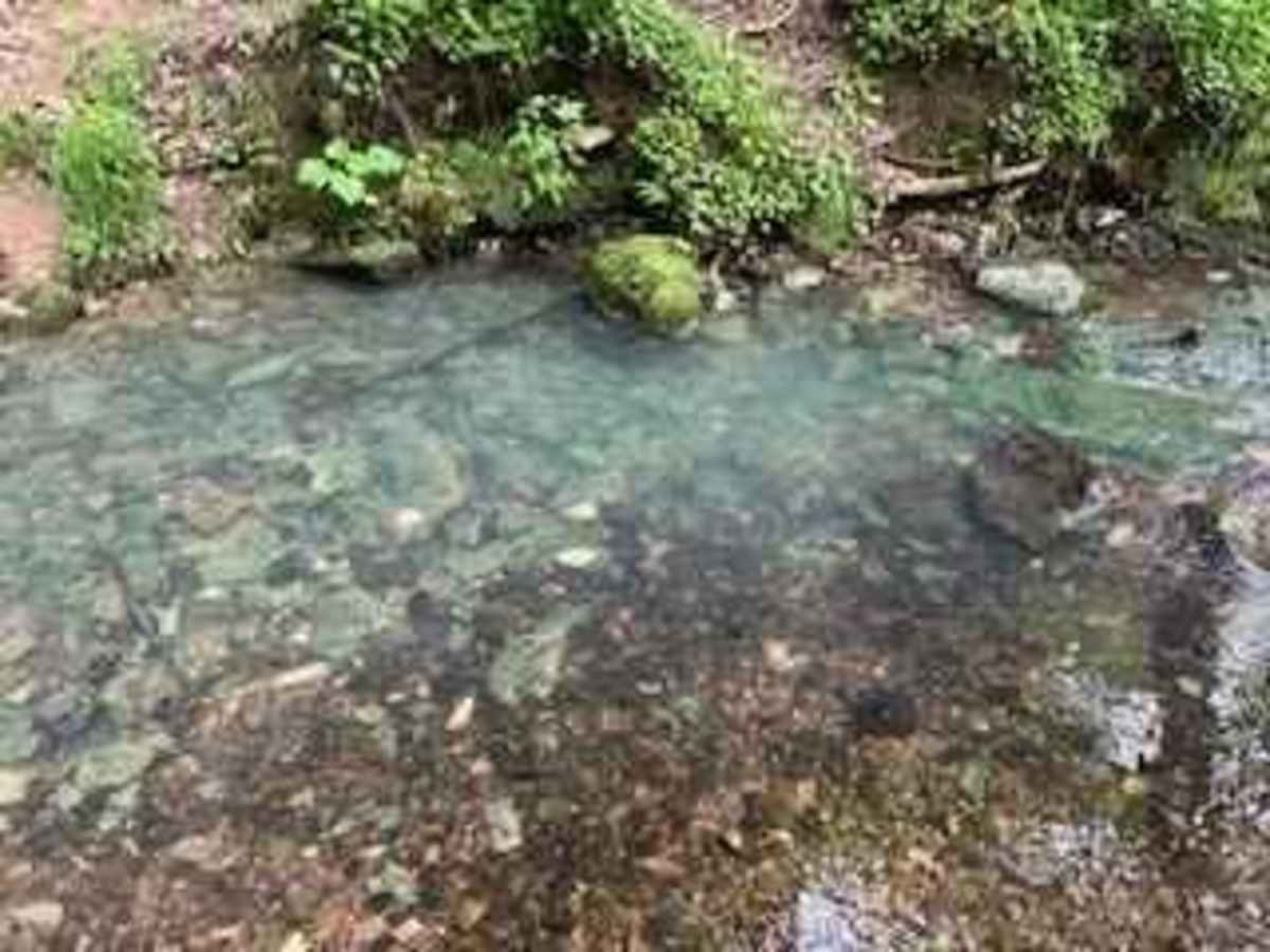 Wolf Creek Road photo 3