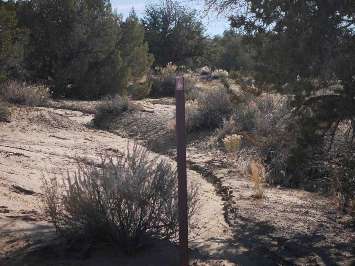 ATV Loop photo 4