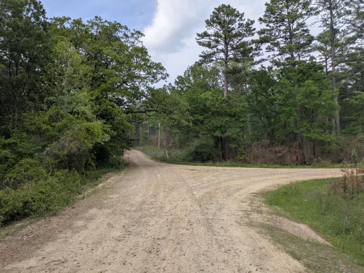 Wicked Creek photo 6