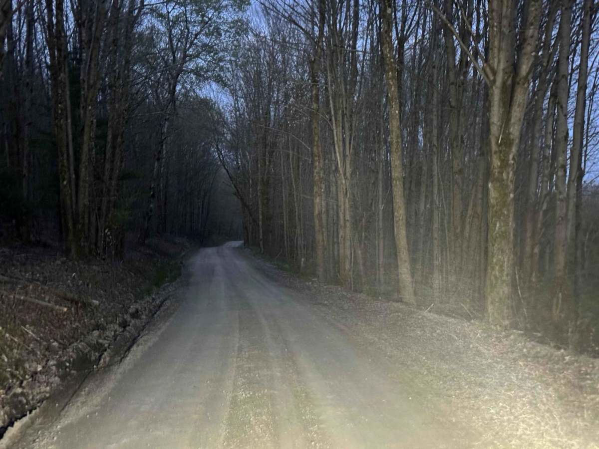 Camp Road photo 4