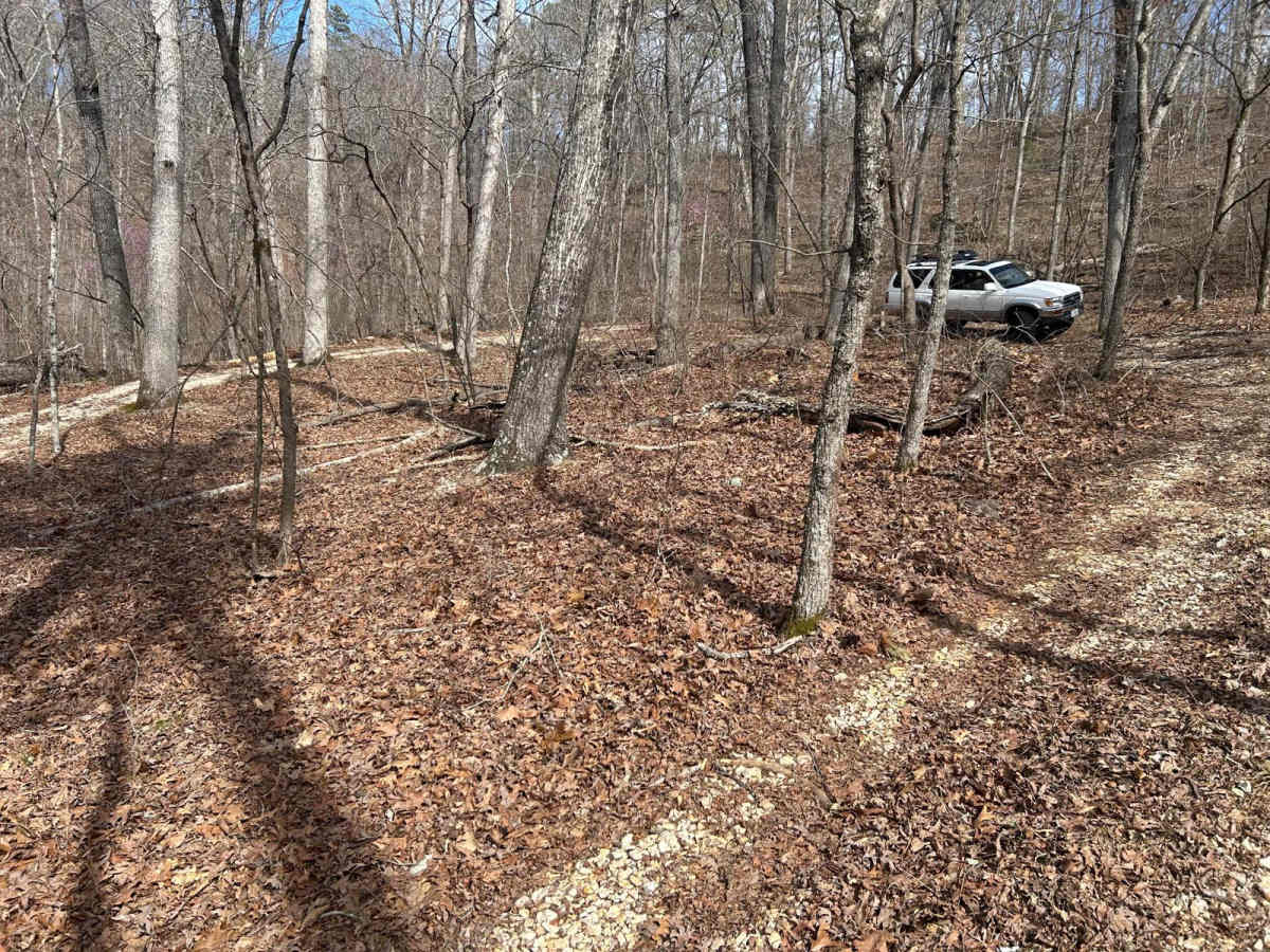 Devreaux Ridge Road Cave photo 3