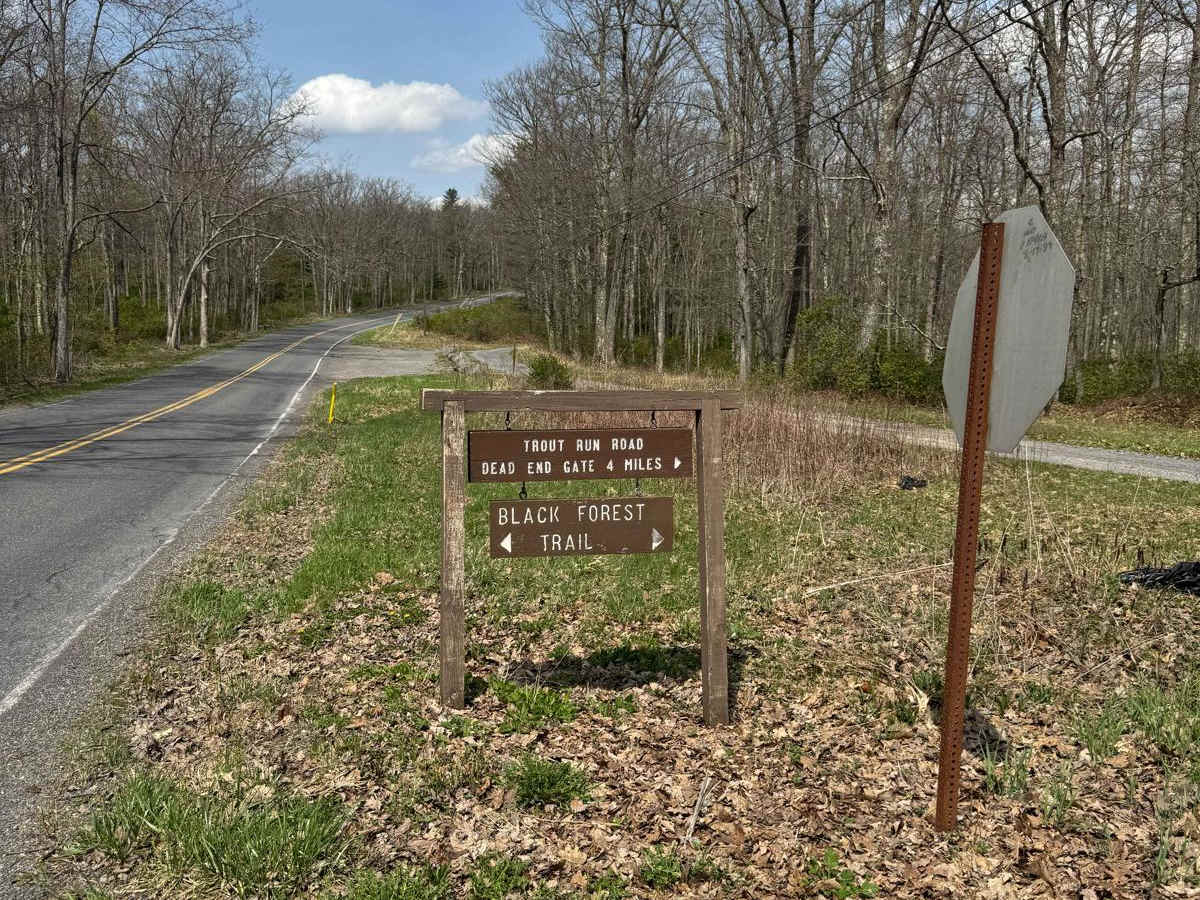 Trout Run Road North trail photo