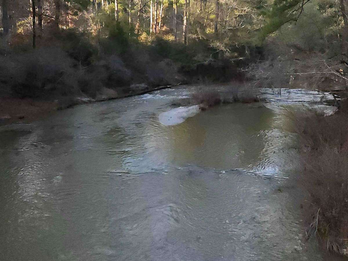Kisatchie Falls photo 4