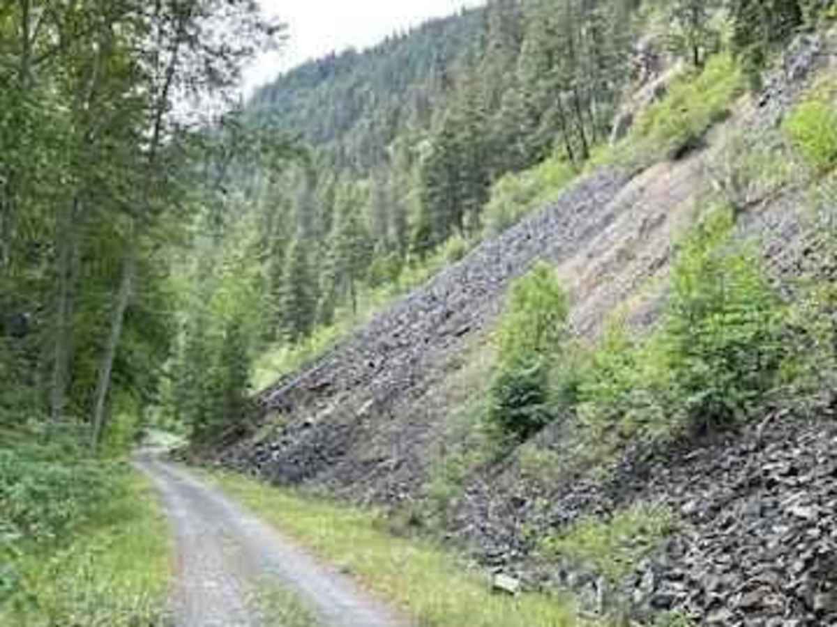 John's Creek Road (FSR) photo 3