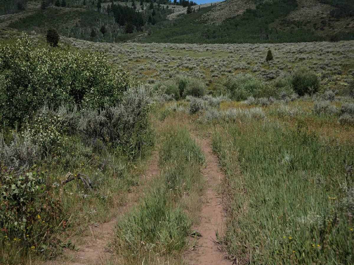 Trail Canyon #5254 photo 3