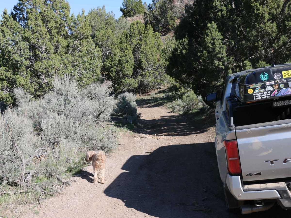 Independence / East Standard Mine Loop photo 4