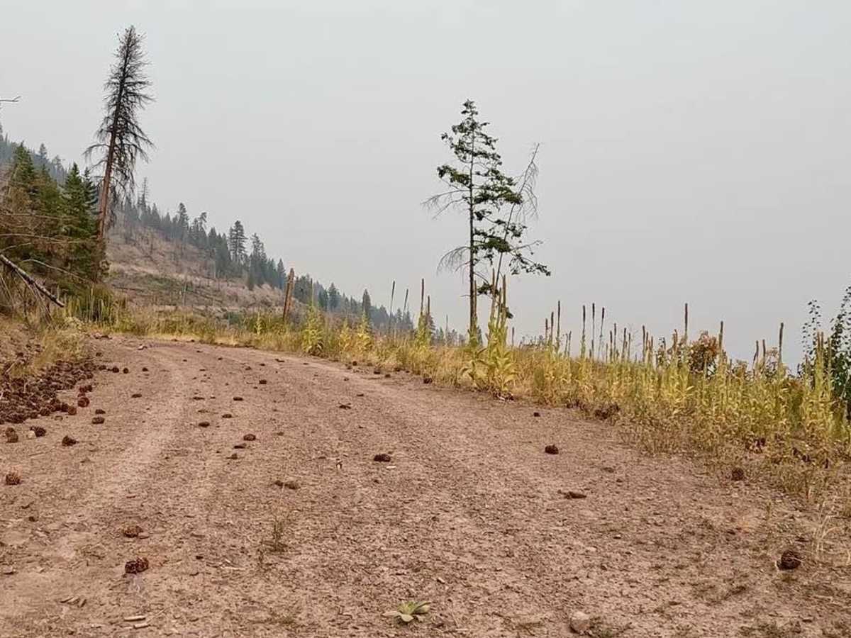 Flat Creek Hwy 135 photo 6