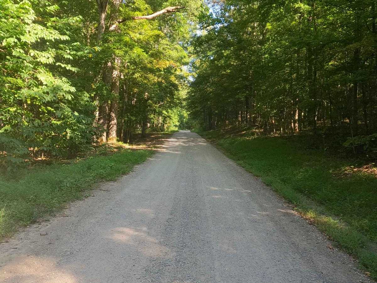 Smith Bay Road - FS 116 photo 5
