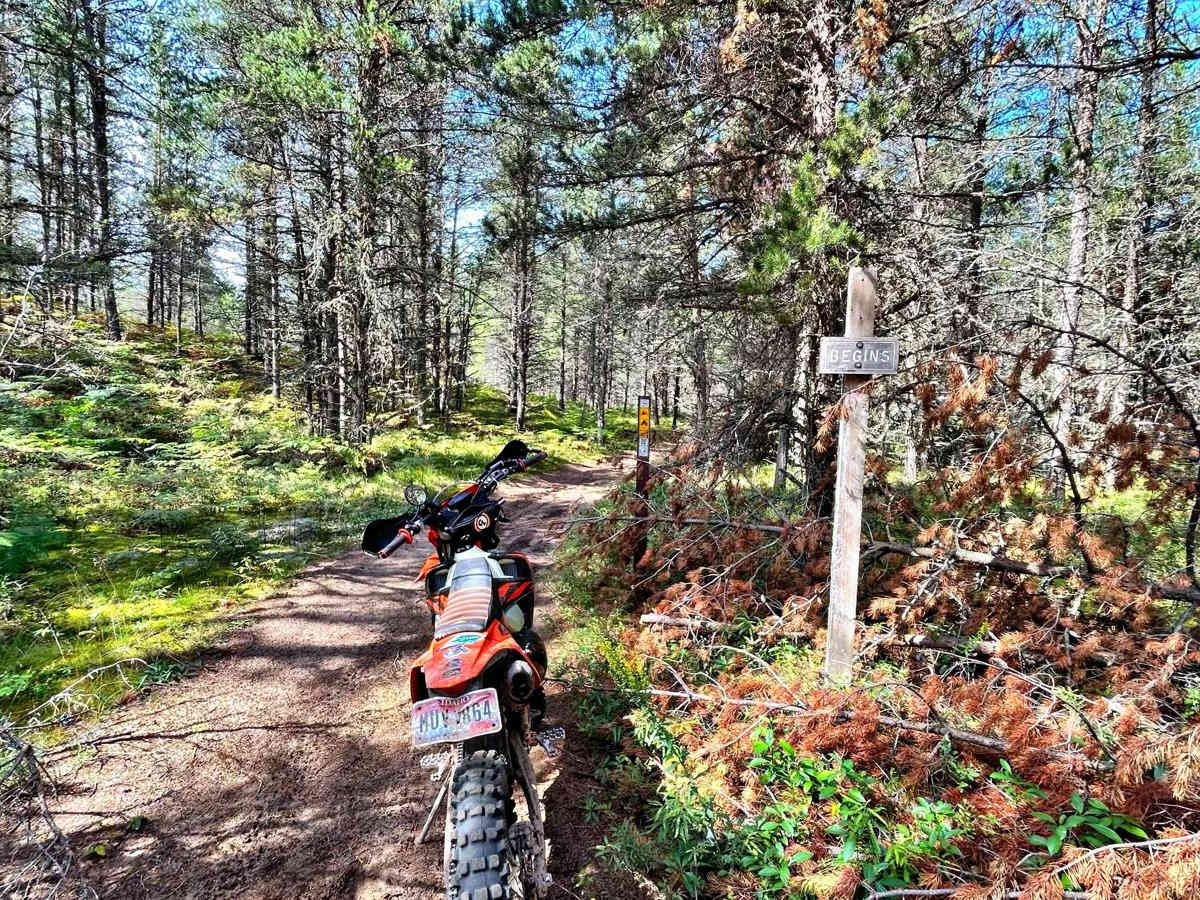 Baraga Plains South Loop trail photo