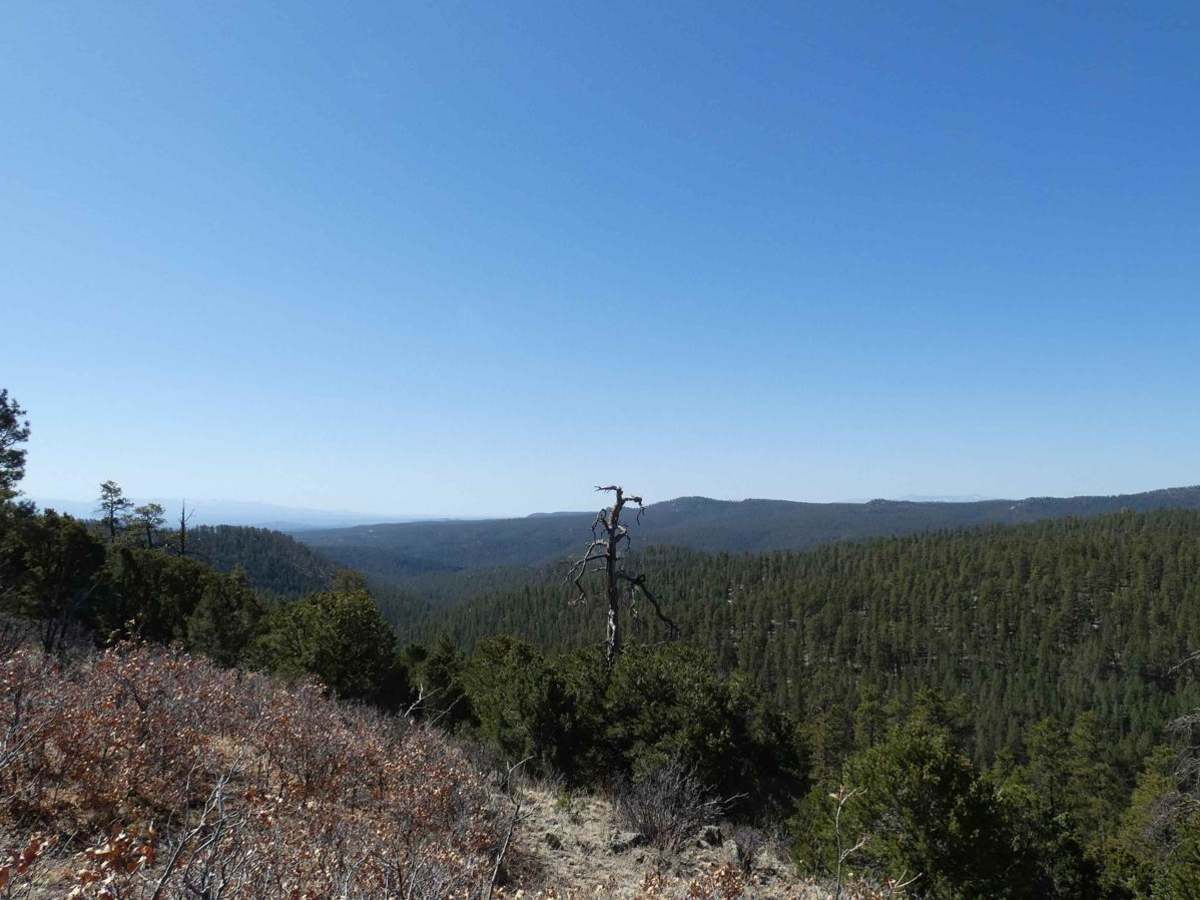 Tusas Ridge trail photo