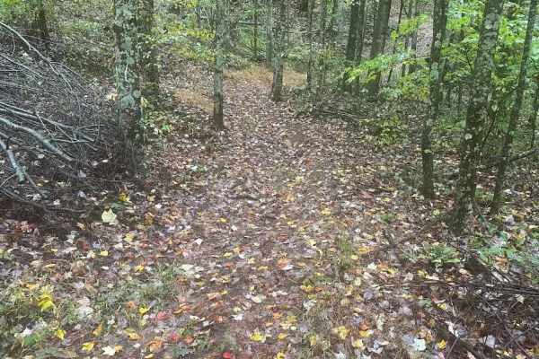 171 Single Track
