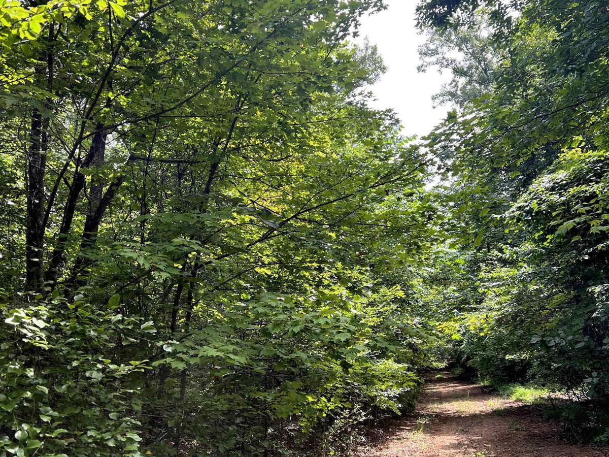 Walnut Ridge Connector photo 4