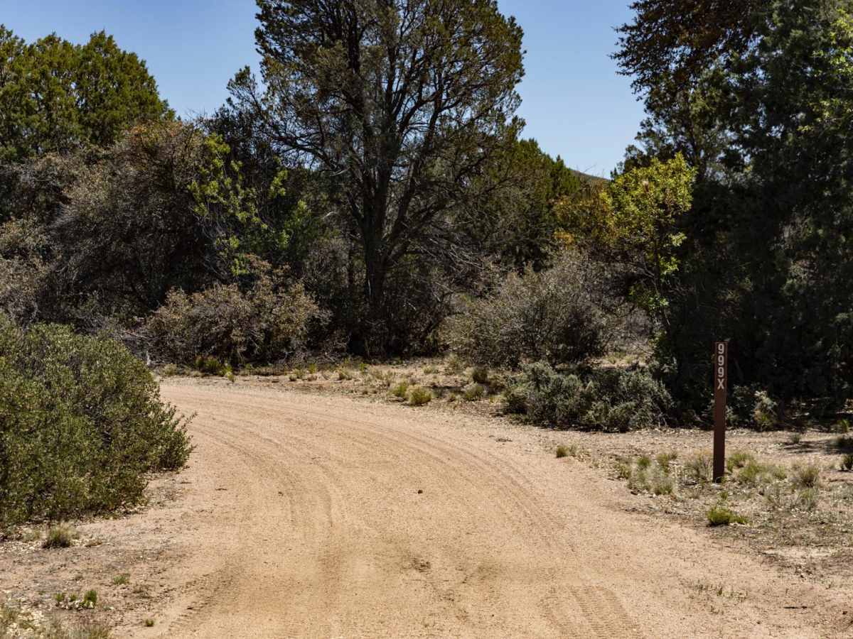 Dillon Field trail photo