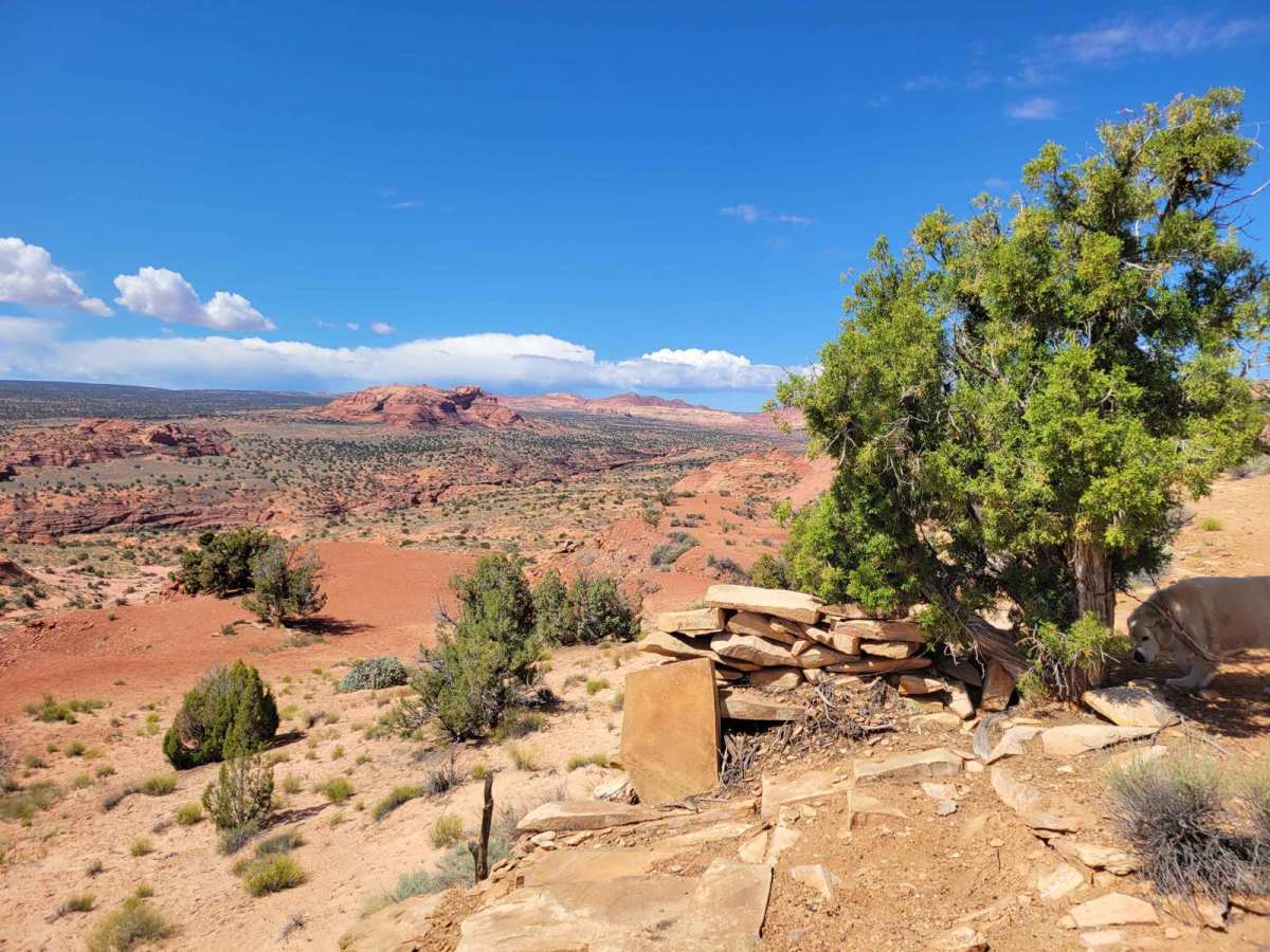 Cobra Arch and Middle Route to Buckskin Gulch trail photo