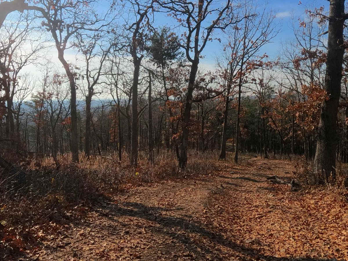 West Fork East - FS 509 photo 4