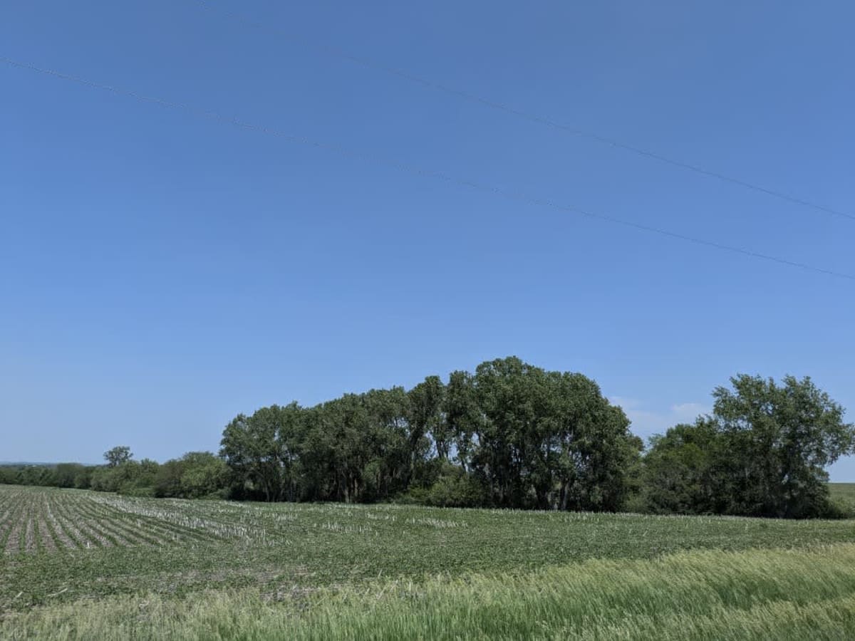 737 Road photo 5