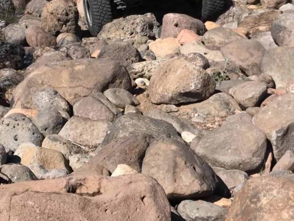 New River Trail photo 2