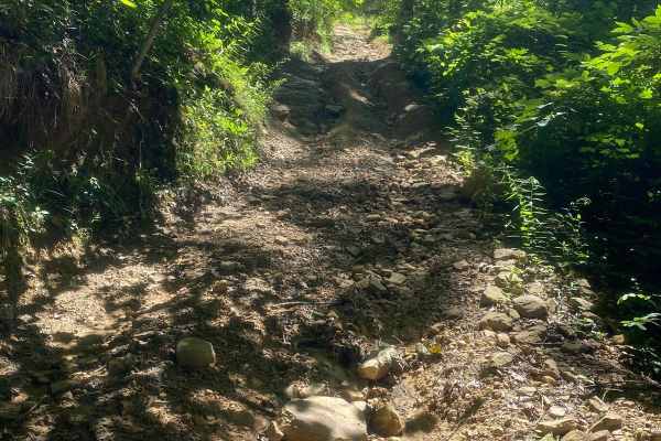 Trail 6