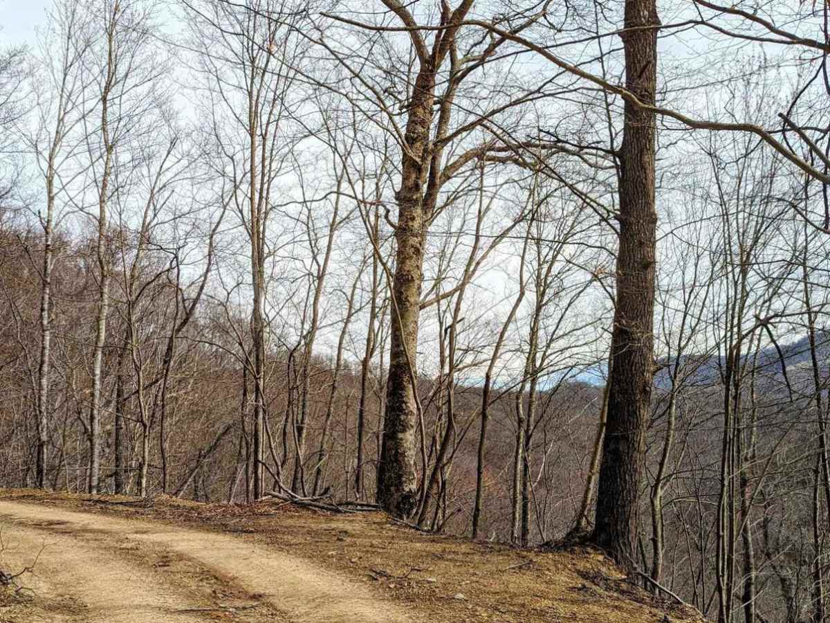 11 photo 5