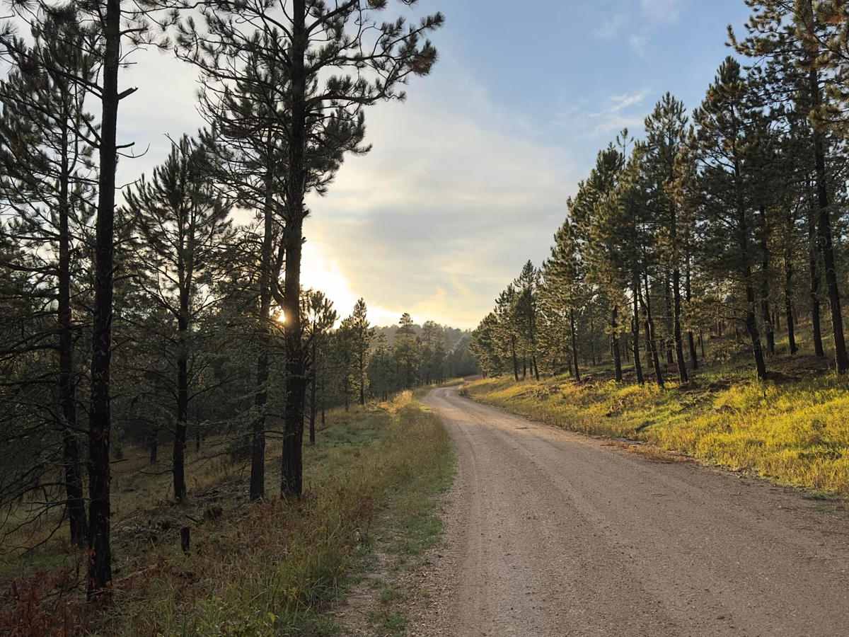 Kelly Spur Road (FS 136) Loop photo 3