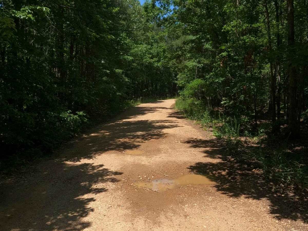Chloride Ridge FSR 2112 trail photo