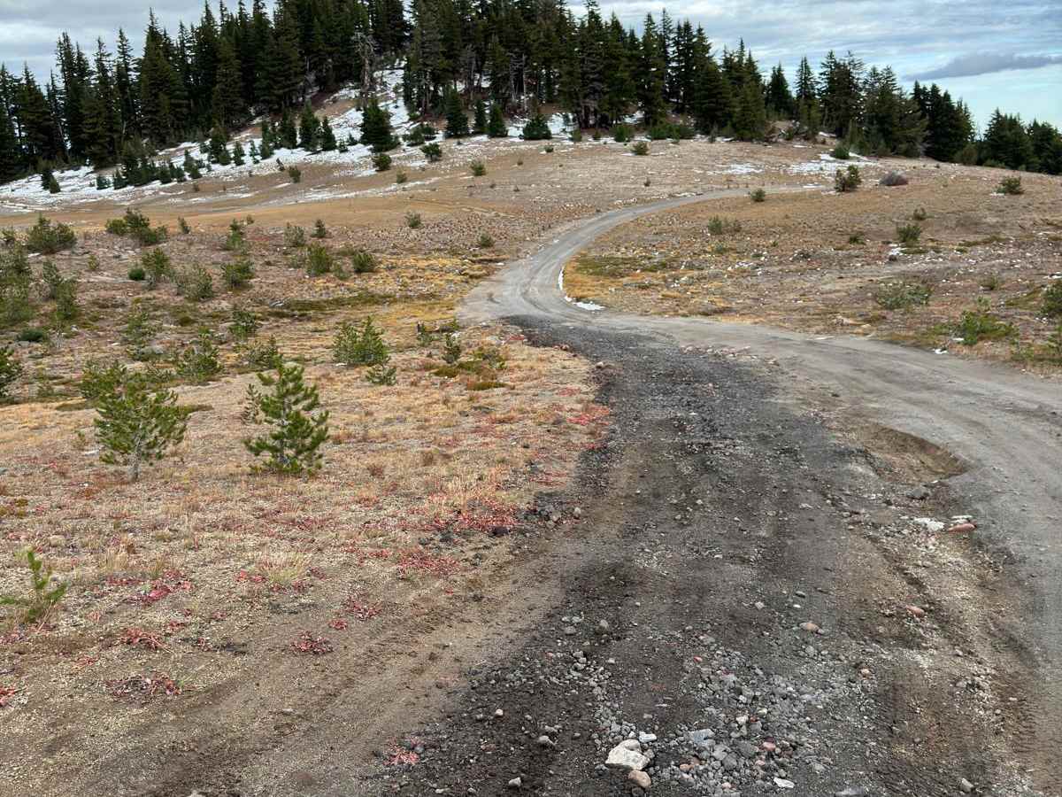 Broken Top Trail #380 photo 5