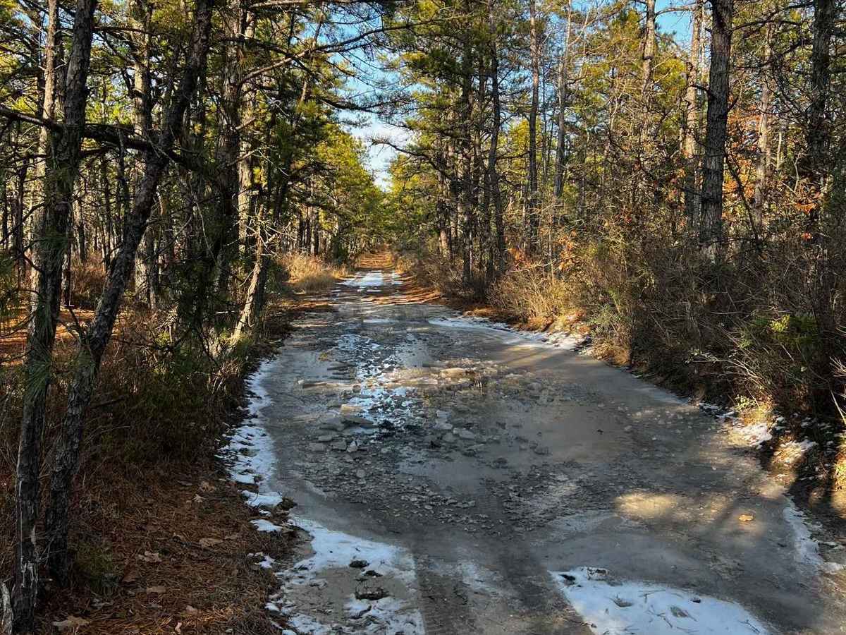 Webb Mill Road to 539 photo 5