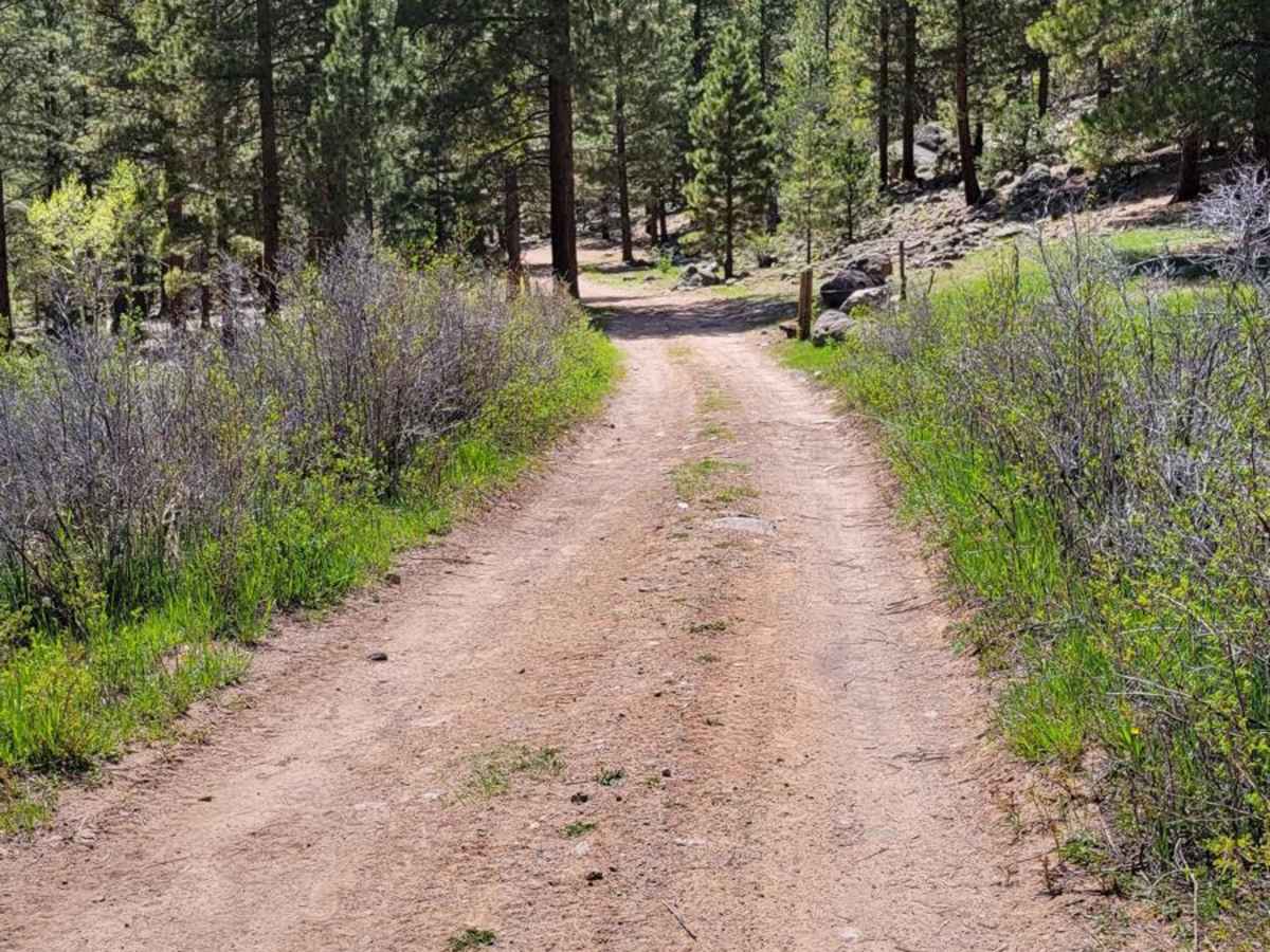 30323 - Wildcat Trail photo 6
