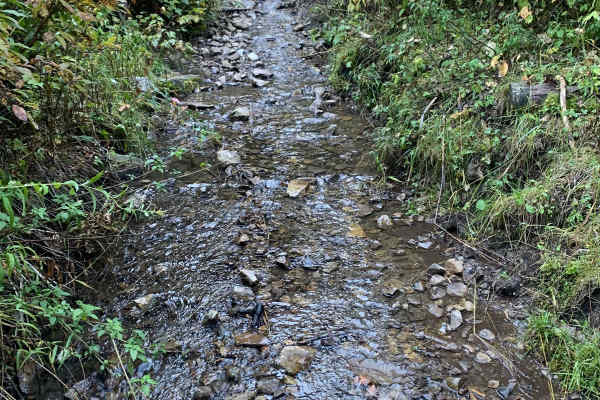 Fall Creek Indian Creek