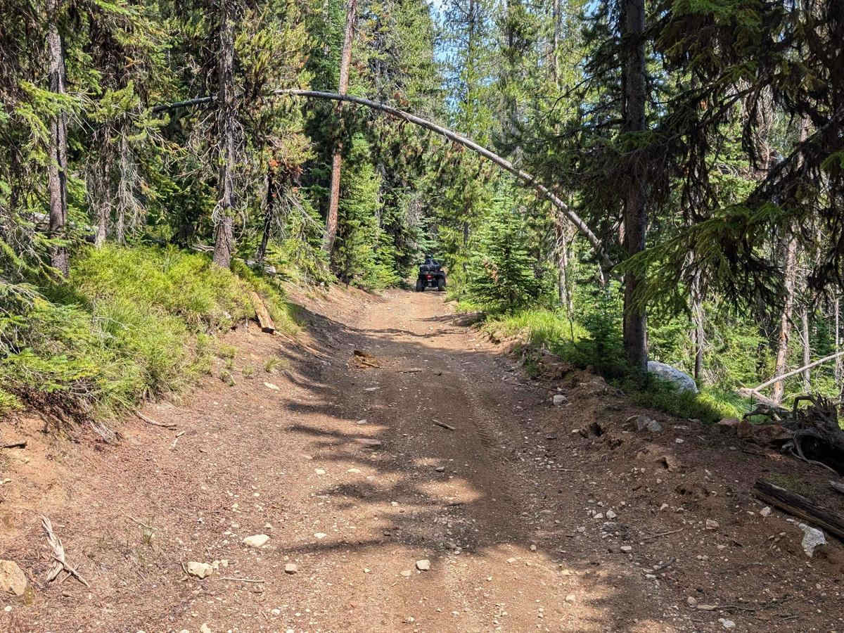 Trail 136 photo 5