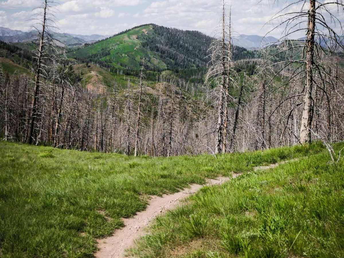 Mahoney Butte trail photo