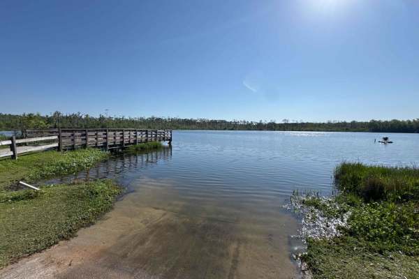 Feeder - Osceola NF 217
