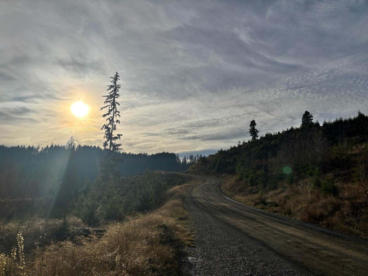 North Fork Wolf Creek Road trail photo