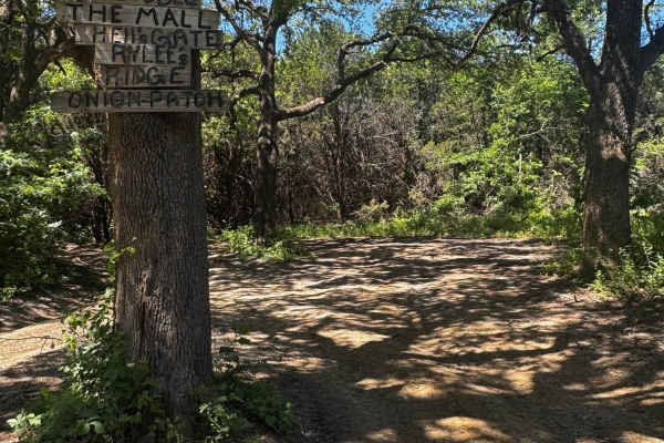 Riley's Ridge