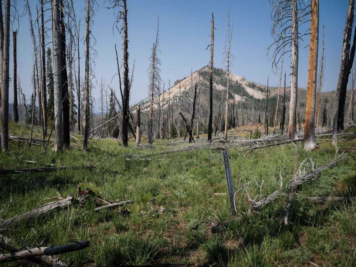 East Basin Lake trail photo
