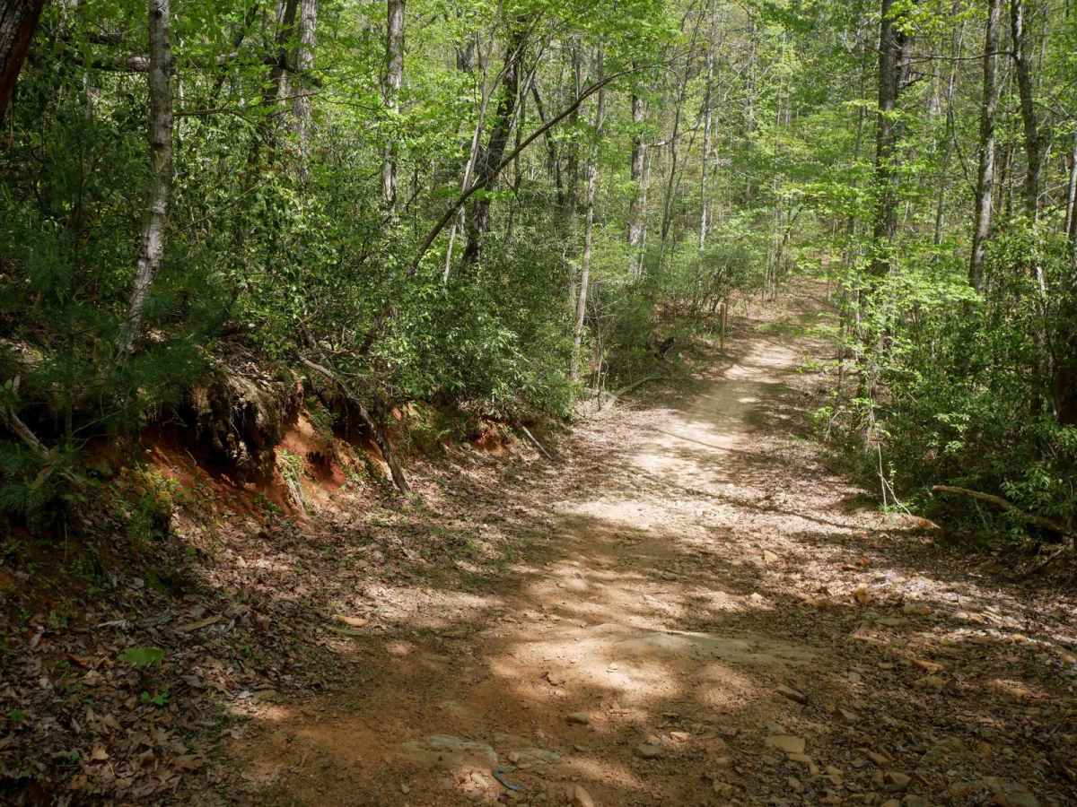 Hightower Loop Connector Trail D photo 6