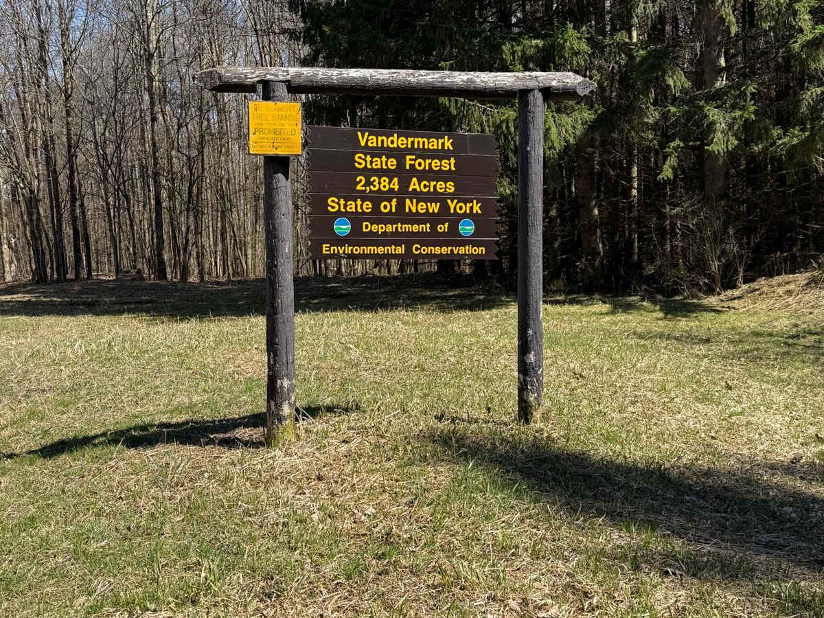 Vandermark Bird Forest Road trail photo