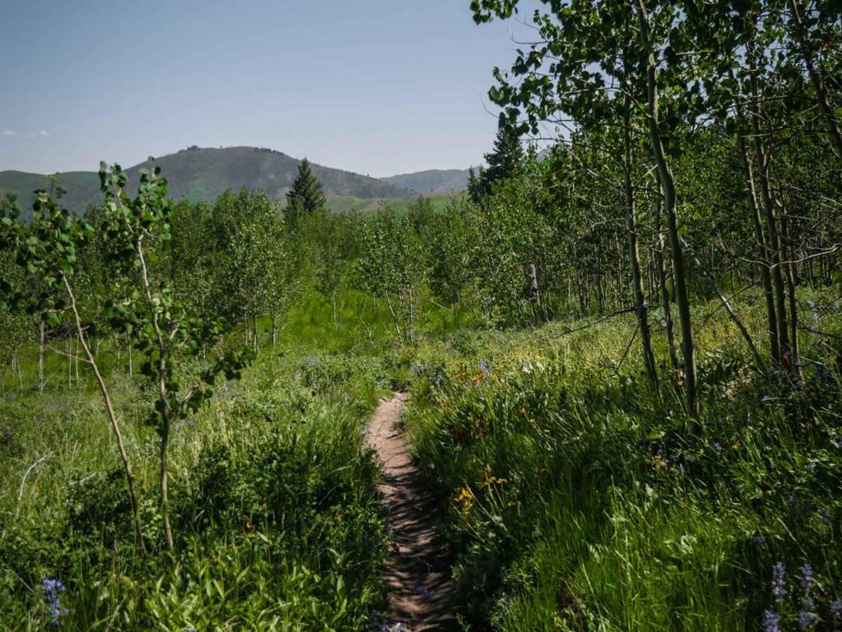 Cow Creek Shortcut photo 6