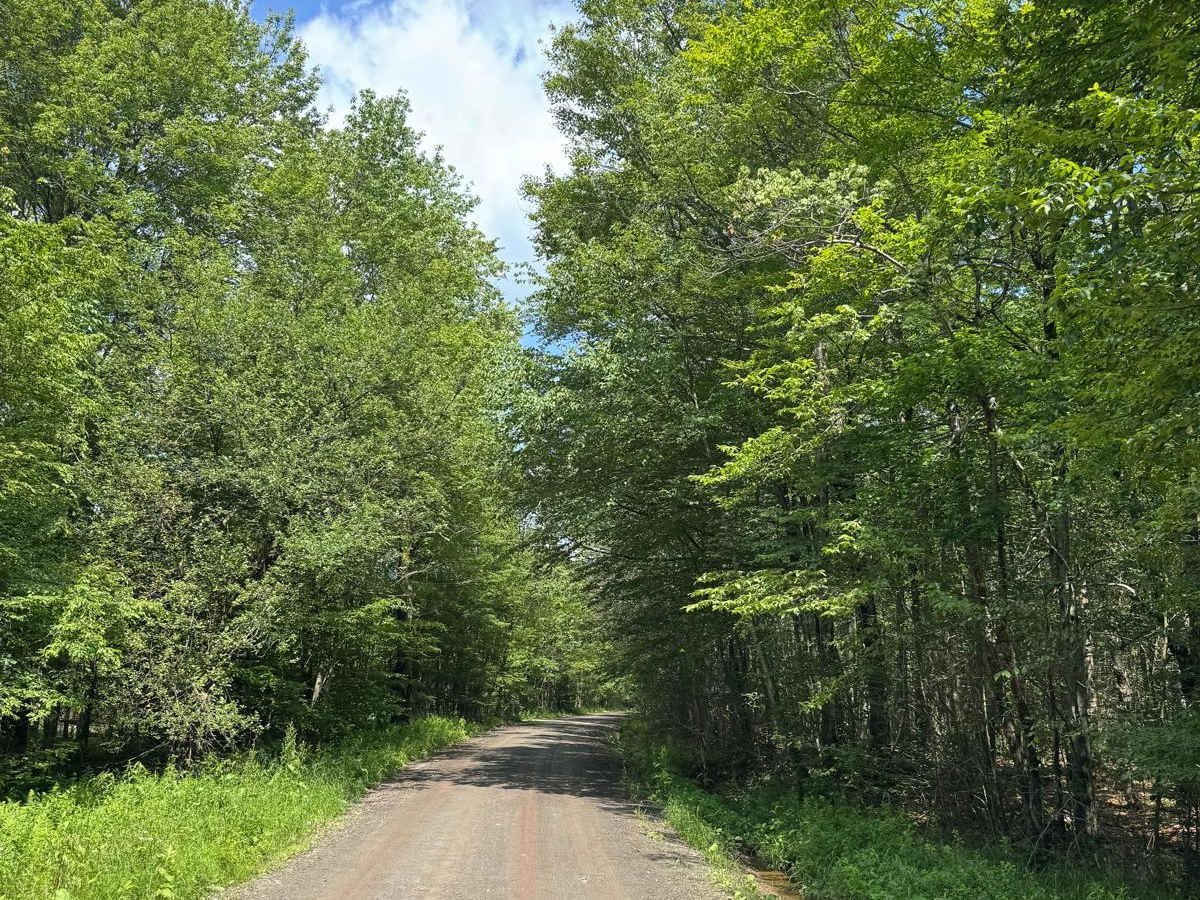 Old Union Road photo 2