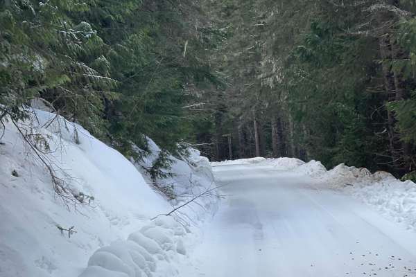 Quartz Creek 416