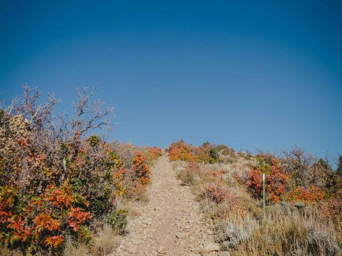 BLM Route 8322 photo 5